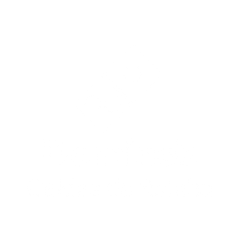 Domino's